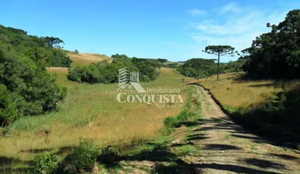 Terreno à venda na Rua Patrício Pasquali, 2020, Vila Seca, Caxias do Sul por R$ 350.000