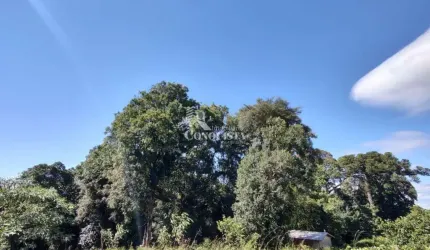 Terreno à venda na Rua Dionysio Adami, 9999, Nossa Senhora das Graças, Caxias do Sul por R$ 5.900.000