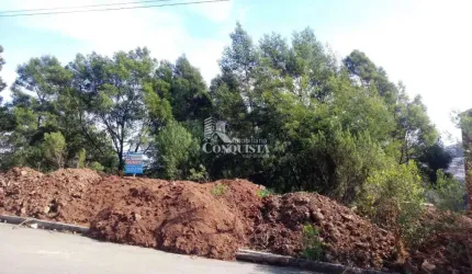 Terreno à venda na Rua Amélia Pinguella Bonatto, 5529, São Luiz, Caxias do Sul por R$ 195.000