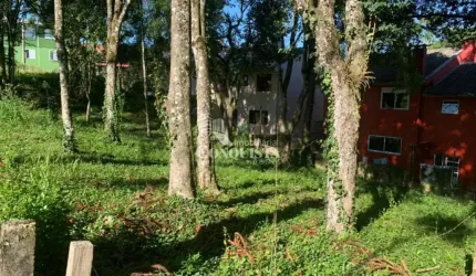 Terreno à venda na Rua Emília Mazzochi Gobbato, Ana Rech, Caxias do Sul por R$ 350.000