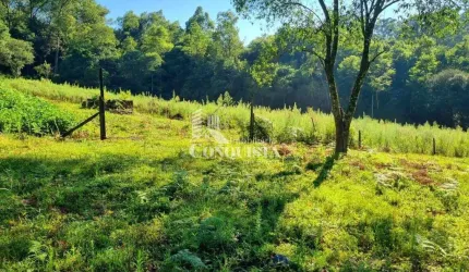 Chácara / sítio à venda na Travessa Santa Rita, 02, São Pedro da Terceira Légua, Caxias do Sul por R$ 540.000