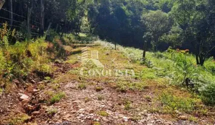 Chácara / sítio à venda na Travessa Santa Rita, 1, São Pedro da Terceira Légua, Caxias do Sul por R$ 300.000