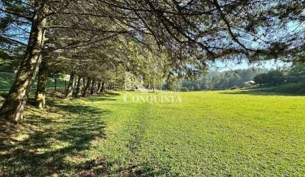 Chácara / sítio com 3 quartos à venda na Rota do Sol, 46, Fazenda Souza, Caxias do Sul por R$ 1.600.000