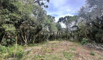 Chácara / sítio à venda na Fazenda dos Ilheus, 001, Vila Seca, Caxias do Sul por R$ 159.000