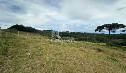 Chácara / sítio à venda na Fazenda dos Ilheus, 1, Vila Seca, Caxias do Sul por R$ 225.000