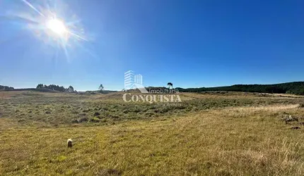 Terreno à venda na 10 Km  de Lageado, Lajeado Grande, São Francisco de Paula por R$ 1.062.500