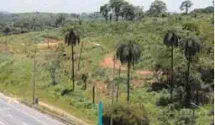 Lote - Terreno à venda, Andiroba - Ribeirão das Neves/MG