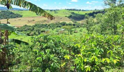 Sítio para Venda em Caldas, Santana de Caldas, 3 dormitórios, 2 banheiros, 1 vaga