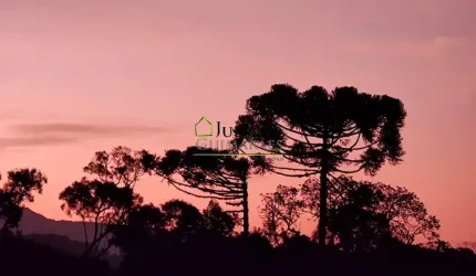 ÓTIMO TERRRENO com 35 HECTARES À VENDA - RANCHO QUEIMADO SC