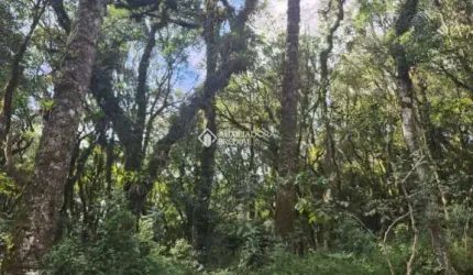 Terreno em condomínio fechado à venda na José Pedro Piva, 880, Bosque Sinoserra, Canela, 782 m2 por R$ 780.000