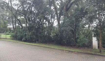 Terreno em condomínio fechado à venda na Das Caneleiras, 22, Reserva da Serra, Canela, 555 m2 por R$ 1.000.000
