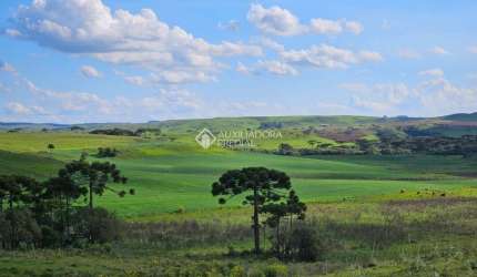 Fazenda à venda na tres irmãos, 1, Lajeado Grande, São Francisco de Paula, 1571700 m2 por R$ 9.200.000