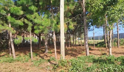 Terreno à venda na caiapos, 9, Arroio Teixeira, Capão da Canoa, 360 m2 por R$ 85.000