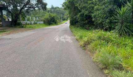 Terreno comercial à venda na Rodovia Assis Brasil, 1959, Cocão, Viamão, 38760 m2 por R$ 899.900