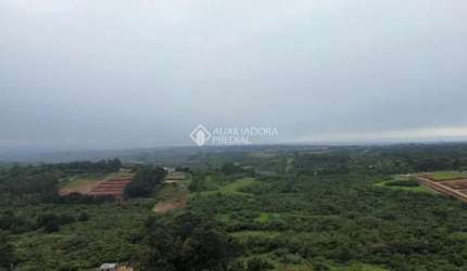 Terreno comercial à venda na Rodovia Assis Brasil, 1959, Cocão, Viamão, 46701 m2 por R$ 899.900