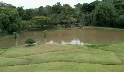 Descubra o Encanto Rural: Chácara dos Sonhos em Cruz do Cedro, Quadra/SP  Seu Refúgio Perfeito na Natureza por Apenas R$ 650 Mil