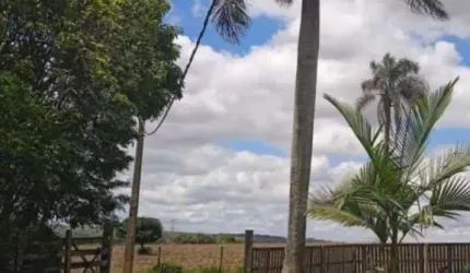 Chácara a venda no Bairro Campininha - Cesário Lange/SP.