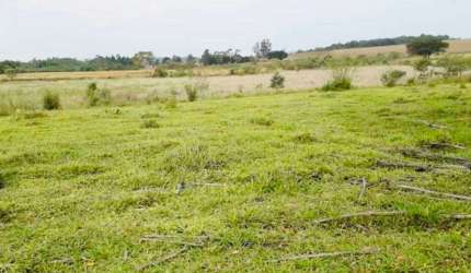 Área de 12 alqueires a venda em Capela do Alto - SP.