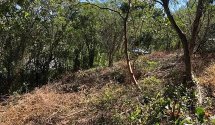 Terreno em condomínio fechado à venda na Geral da Ferrugem, 1, Capão, Garopaba por R$ 550.000