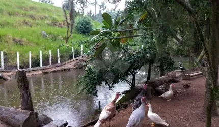 Chácara / sítio com 3 quartos à venda na Aratingaúba, 1, Aratingauba, Imaruí por R$ 375.000