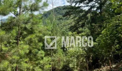 Terreno à venda no Ribeirão Souto, Pomerode , 11312 m2 por R$ 689.000