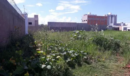 Terreno a Venda Bairro Life I