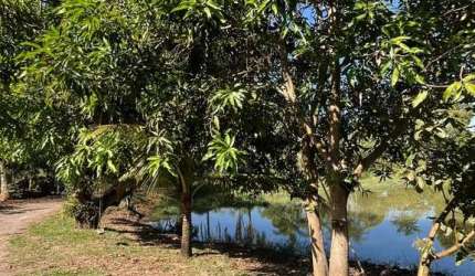 Chácara à Venda em Elias Fausto – Porteira Fechada!