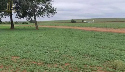 Excelente oportunidade de investimento em Rio das Pedras/SP!