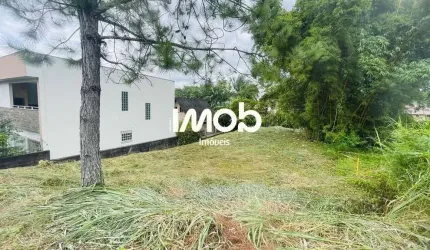 Terreno com 600 m² de área, bairro Tifa Martins