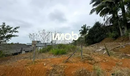 Lote/Terreno, Corticeira - Guaramirim