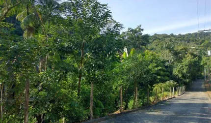 Terreno à venda, 28000 m² -  Velha - Blumenau/SC