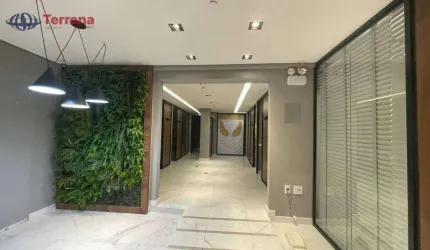 Loja/Sala Térrea - 252m2 - Centro - Blumenau- SC