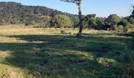 lindo Sítio em Urubici, localidade de Jararaca