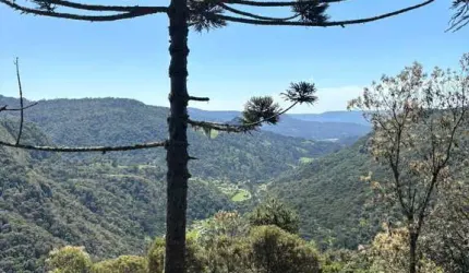 Linda área de 2 hectares localizada na região de Baiano, na Serra dos Bitus