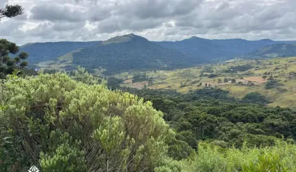 Área rural na Serra Catarinese, com 42 Hectares com excelente aproveitamento