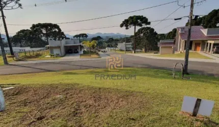 Terreno à venda, 1001 m² por R$ 770.000,00 - Vila Fuck - Piraquara/PR