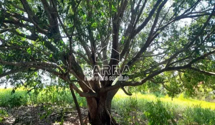 VENDE-SE CHÁCARA NO ESTÂNCIA TRÊS LAGOS - MARILIA/SP