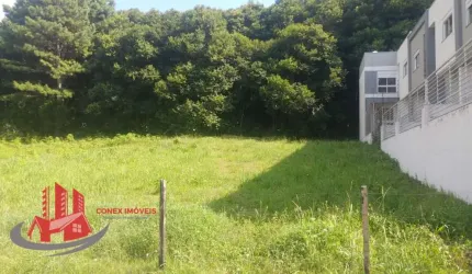 Terreno à venda na Rua Firmino Pandolpho, 659, Altos do Seminário, Caxias do Sul por R$ 345.000