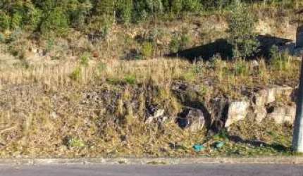 Terreno no bairro Santa Catarina | Loteamento Colina dos Plátanos