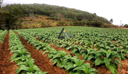 Área rural de 12 hectares em Mariana Pimentel