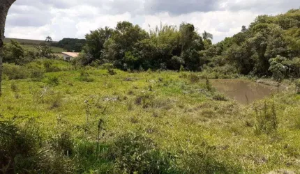 Área à venda, 40000 m² por R$ 2.800.000,00 - Pinhal - Jarinu/SP