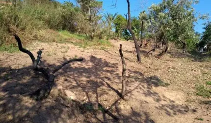 Terreno à venda, 430 m² por R$ 100.000,00 - Vila Constança (Botujuru) - Campo Limpo Paulista/SP