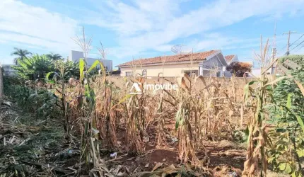 Terreno Plano à Venda com 300m² no Bairro Jd. Amélia – Americana/SP **Metragem rara nesse bairro! Aproveite essa oportunidade única!**