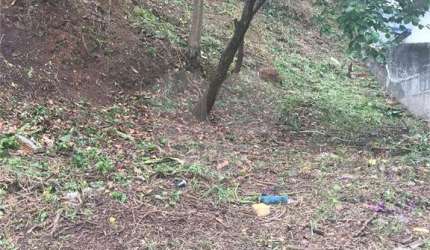 TERRENO VILA GUSTAVO