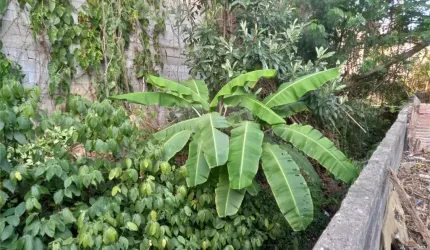 Terreno à venda - Tremembé