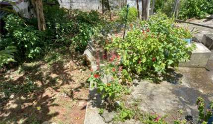 Terreno Bairro Jardim Floresta- Próximo a Serra da Cantareira