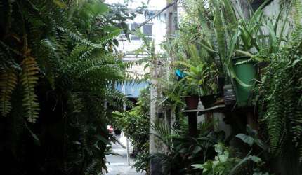 TERRENO A VENDA NO TREMEMBÉ - 200 M2