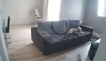 Apartamento Limão