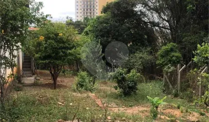 Terreno na Rua Augusto Tolle - Ótimo para investidores