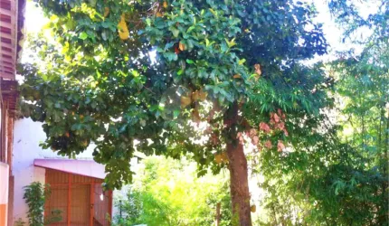 TERRENO A VENDA NA PARADA INGLESA - 1.410 M2 DE ÁREA - PRÓX. METRÔ